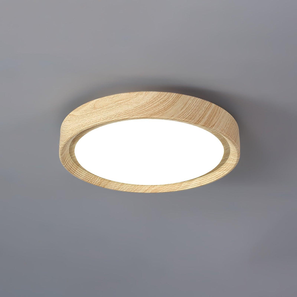 Rildenhill Acrylic Ceiling Light-Moonnatur