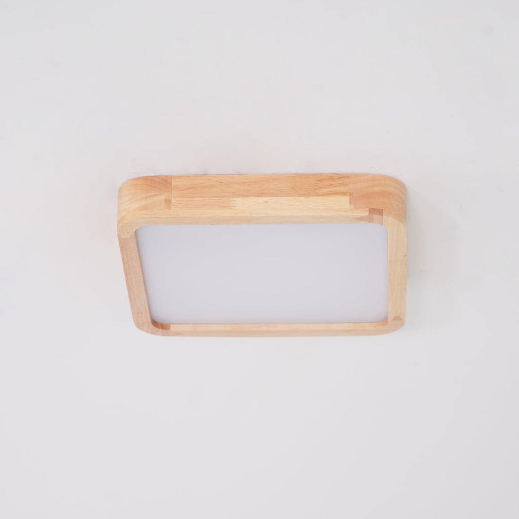 Rovengrove Acrylic Ceiling Light-Moonnatur