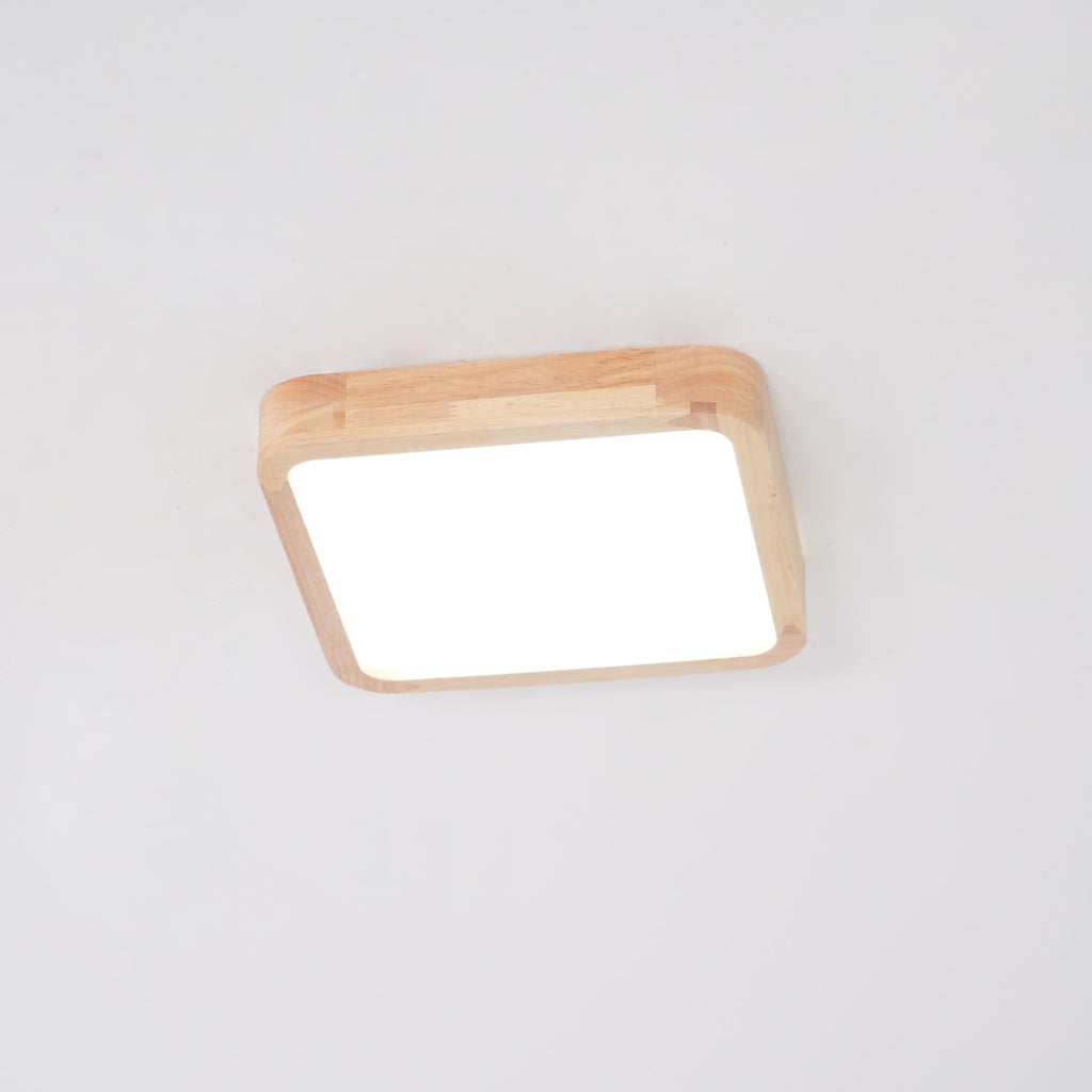 Rovengrove Acrylic Ceiling Light-Moonnatur