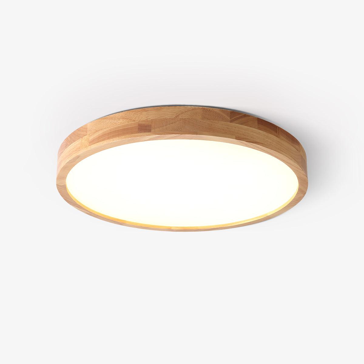 Rovengrove Acrylic Ceiling Light-Moonnatur