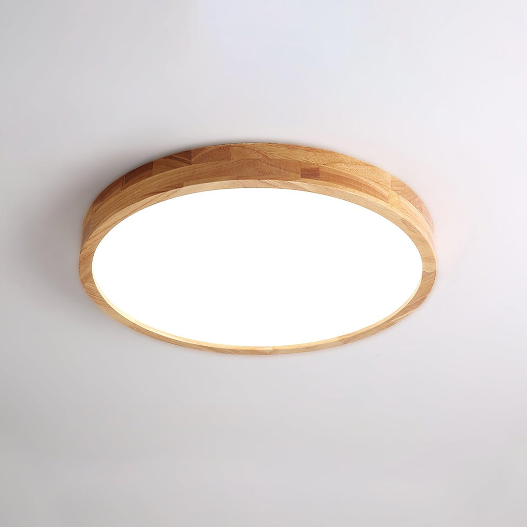 Rovengrove Acrylic Ceiling Light-Moonnatur
