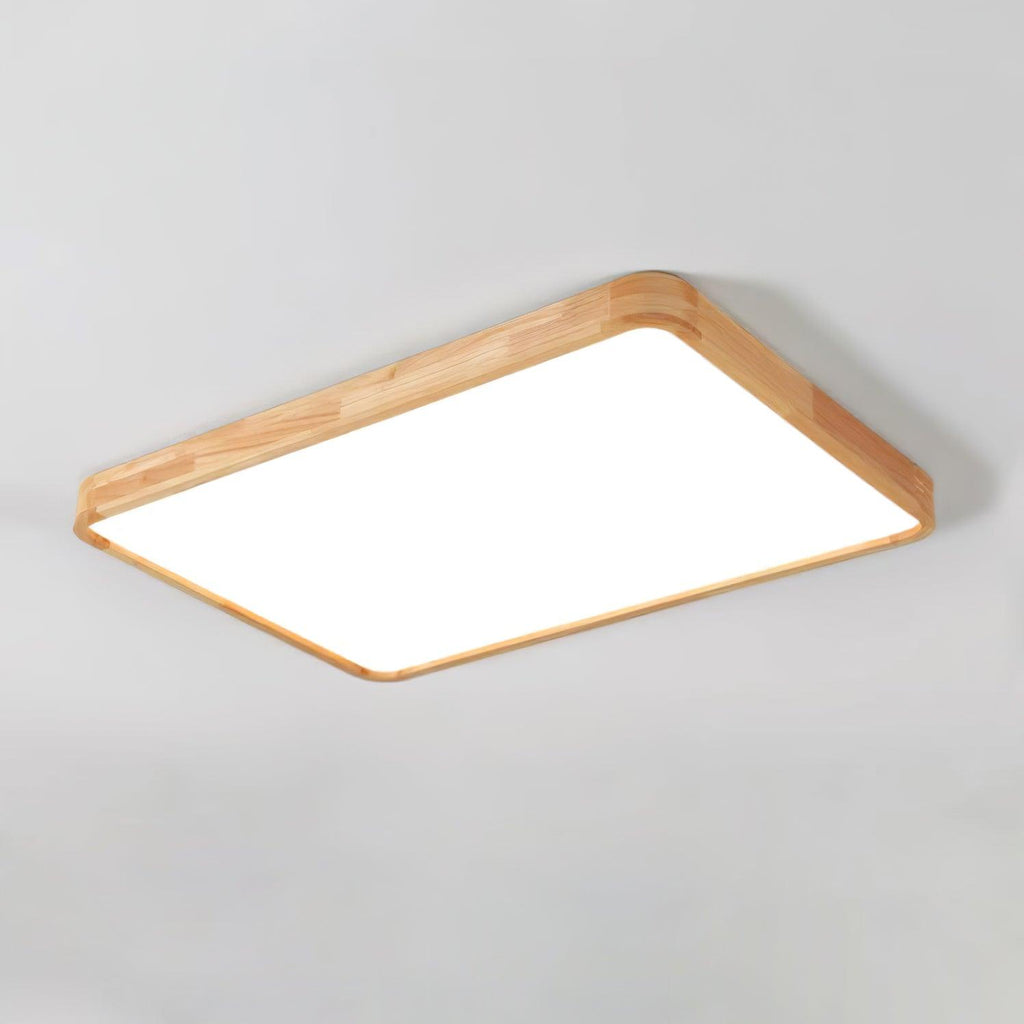 Rovengrove Acrylic Ceiling Light-Moonnatur