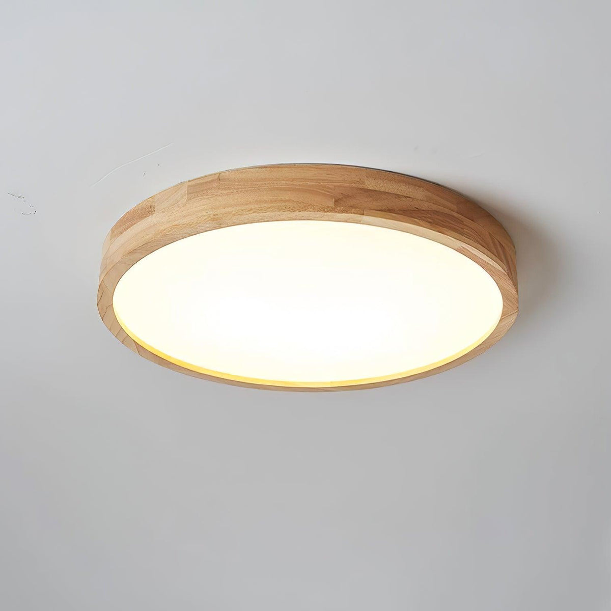 Rovengrove Acrylic Ceiling Light-Moonnatur