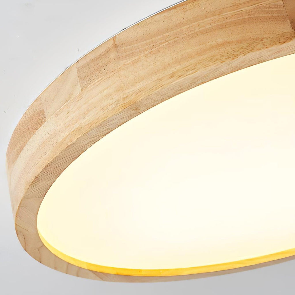 Rovengrove Acrylic Ceiling Light-Moonnatur