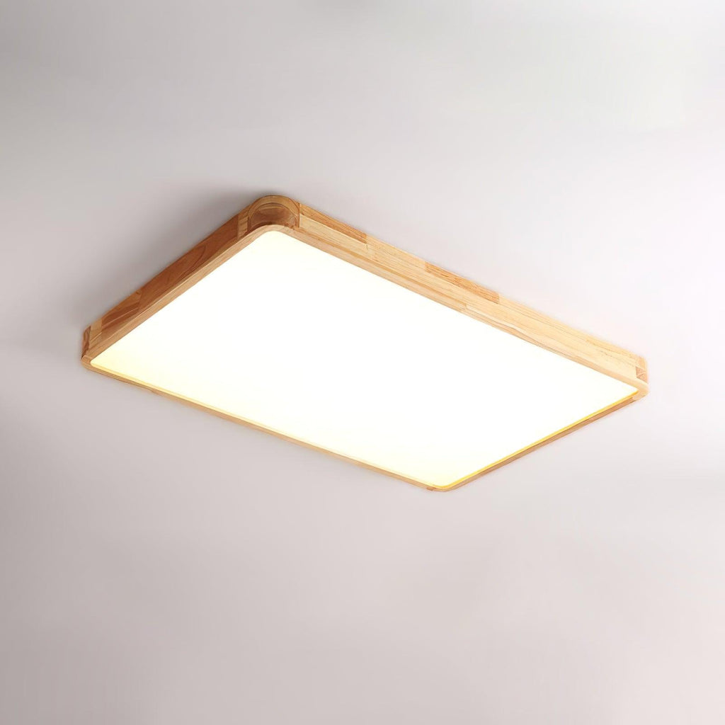 Rovengrove Acrylic Ceiling Light-Moonnatur