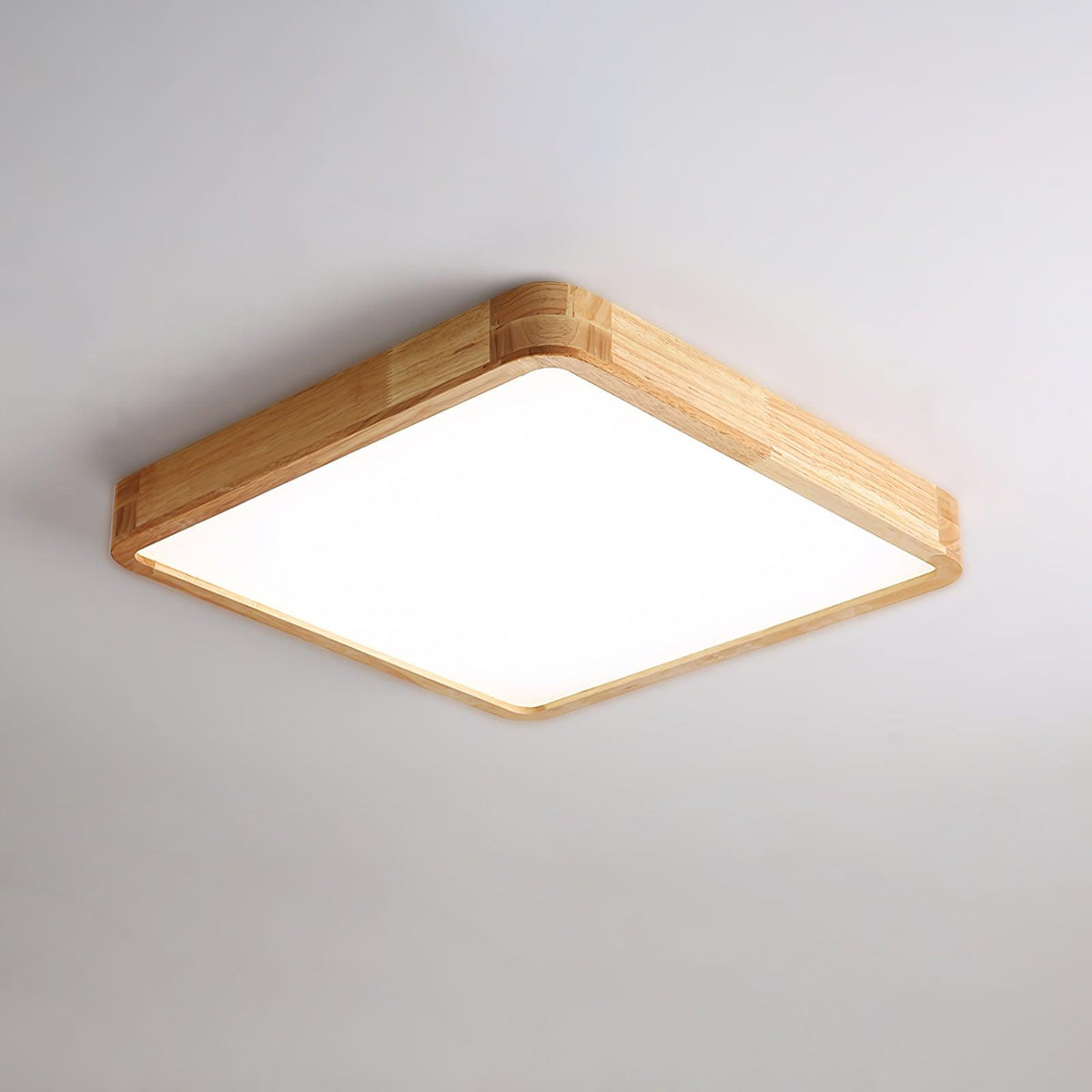 Rovengrove Acrylic Ceiling Light-Moonnatur