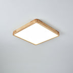 Rovengrove Acrylic Ceiling Light-Moonnatur
