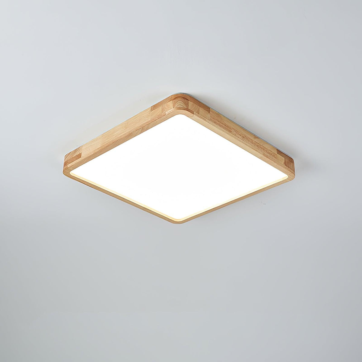 Rovengrove Acrylic Ceiling Light-Moonnatur