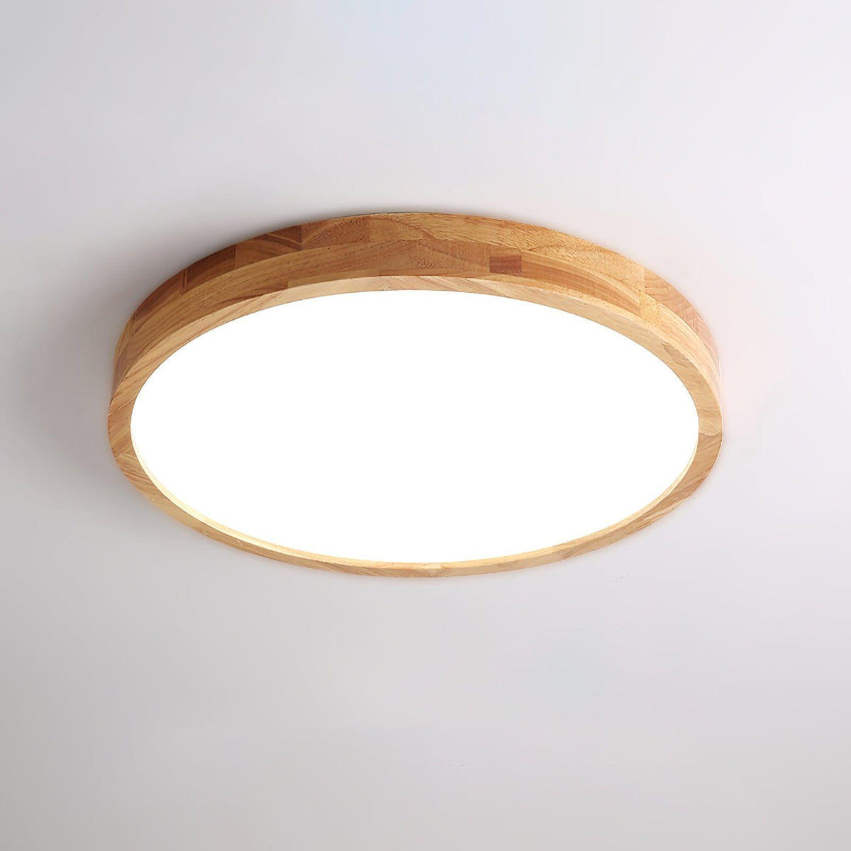 Rovengrove Acrylic Ceiling Light-Moonnatur