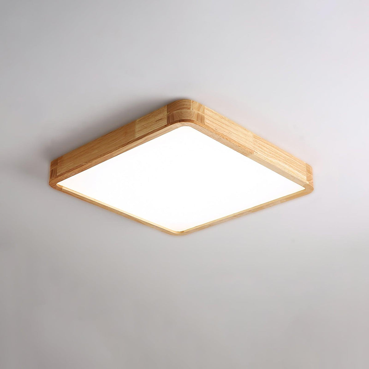 Rovengrove Acrylic Ceiling Light-Moonnatur