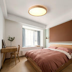 Rovengrove Acrylic Ceiling Light-Moonnatur