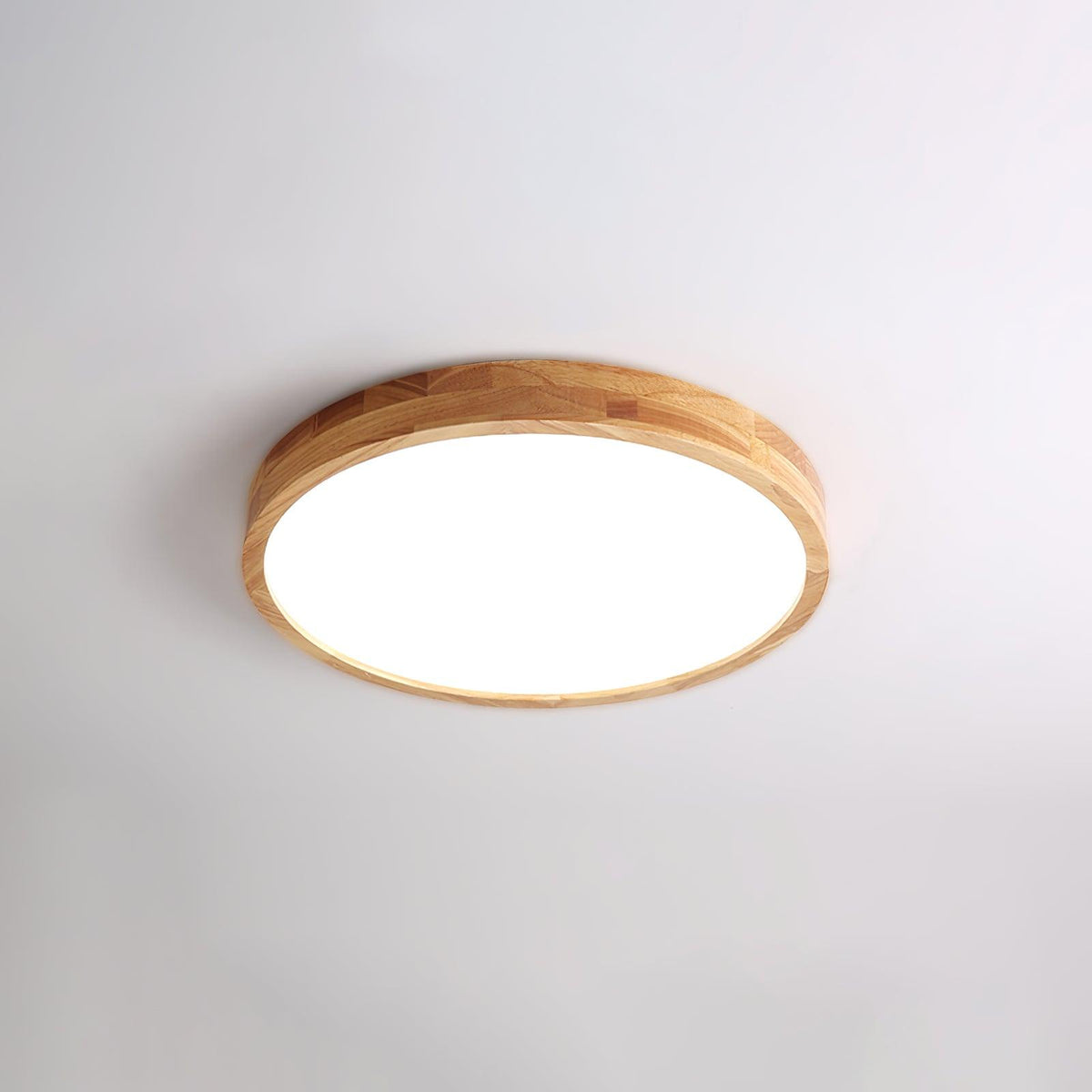 Rovengrove Acrylic Ceiling Light-Moonnatur