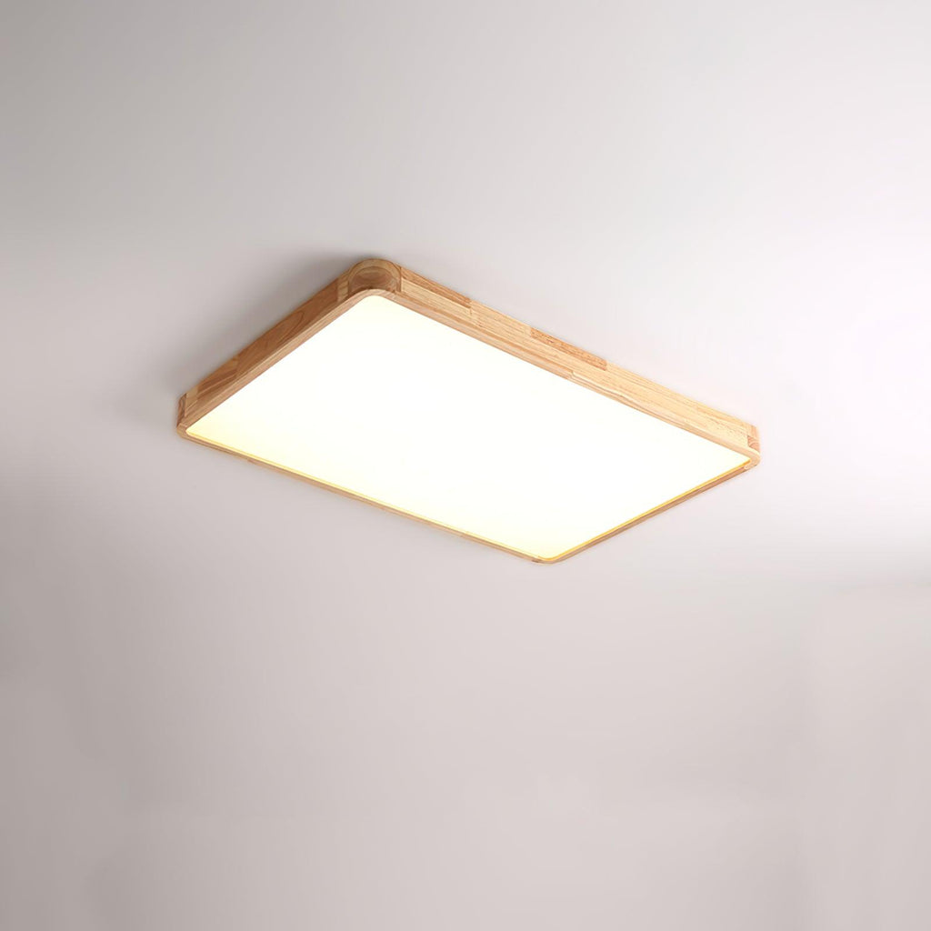 Rovengrove Acrylic Ceiling Light-Moonnatur