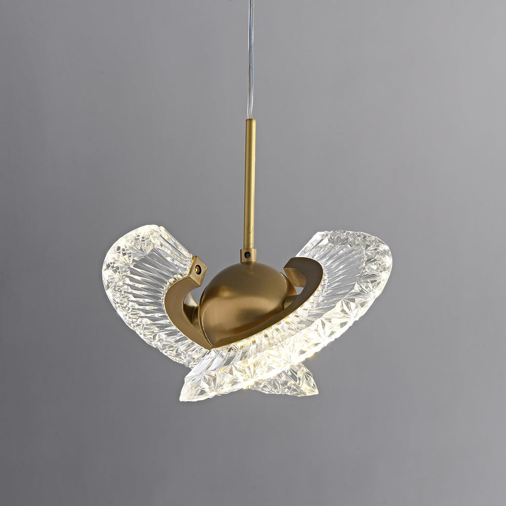 Brackella Acrylic Pendant Light-Moonnatur