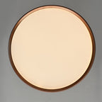 Garnelora Acrylic Ceiling Light-Moonnatur