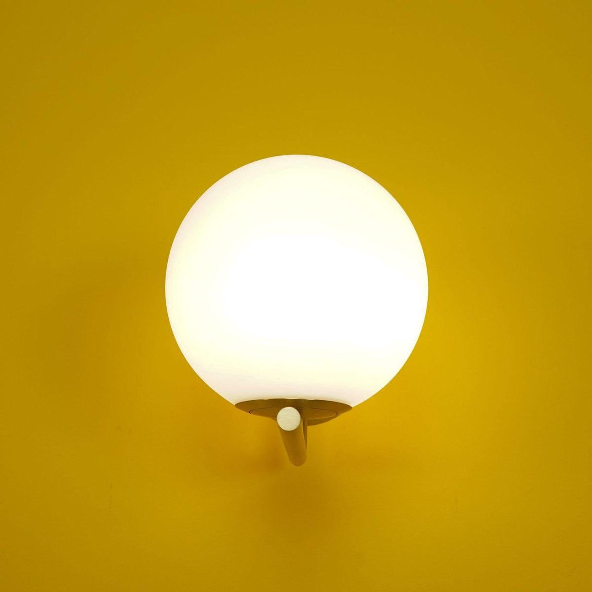Alwynera Glass Wall Light-Moonnatur