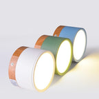 Cardelwell Acrylic Ceiling Light-Moonnatur