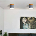 Cardelwell Acrylic Ceiling Light-Moonnatur