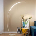Baldenlynne Metal Floor Lamp-Moonnatur