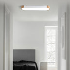 Corenmoss Acrylic Ceiling Light-Moonnatur