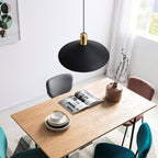 Edrenholm Acrylic Pendant Light-Moonnatur