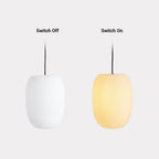 Lathenlyn Metal Pendant Light-Moonnatur
