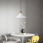Edrenholm Acrylic Pendant Light-Moonnatur