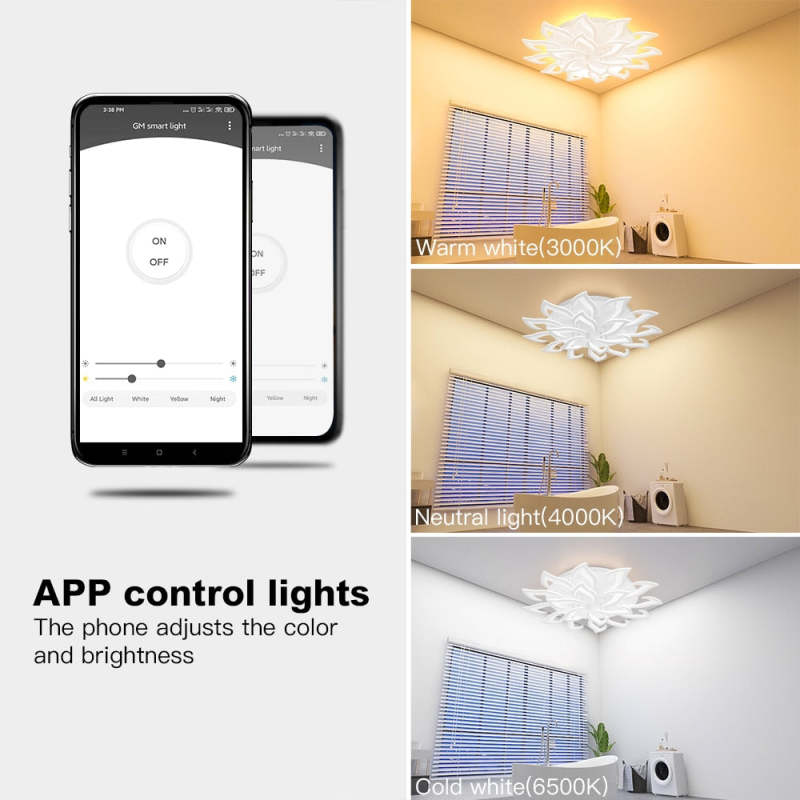 Islenash Acrylic Ceiling Light-Moonnatur
