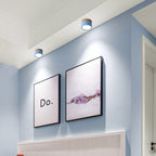 Cardelwell Acrylic Ceiling Light-Moonnatur