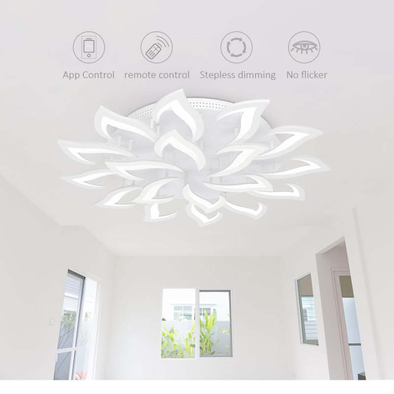 Islenash Acrylic Ceiling Light-Moonnatur