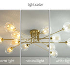 Inverrose Glass Chandelier-Moonnatur