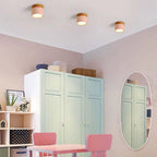 Cardelwell Acrylic Ceiling Light-Moonnatur