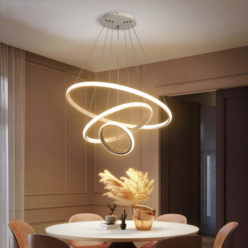 Zin Modern Ring Pendant Light, 2/3/4 Rings - Neutralighting
