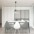 Beldenera Acrylic Pendant Light-Moonnatur