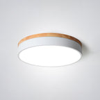 Inverwren Acrylic Ceiling Light-Moonnatur