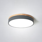 Inverwren Acrylic Ceiling Light-Moonnatur