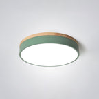 Inverwren Acrylic Ceiling Light-Moonnatur